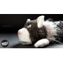 Lost and Found (peluche chat 38cm) - Sigikid Beasts