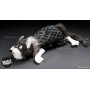 Lost and Found (peluche chat 38cm) - Sigikid Beasts