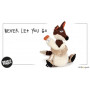 Never Let You Go (peluche renard et canard 21cm) - Sigikid Beasts