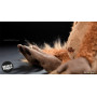 Mon Key (peluche orang-outan 40cm) - Sigikid Beasts