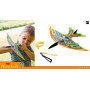 Fronde oiseau - Terra Kids