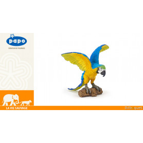 Perroquet Ara bleu - La vie sauvage