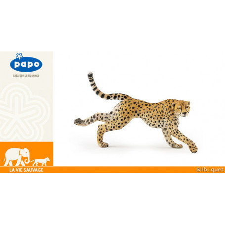 Running cheetah - Wild animal kingdom