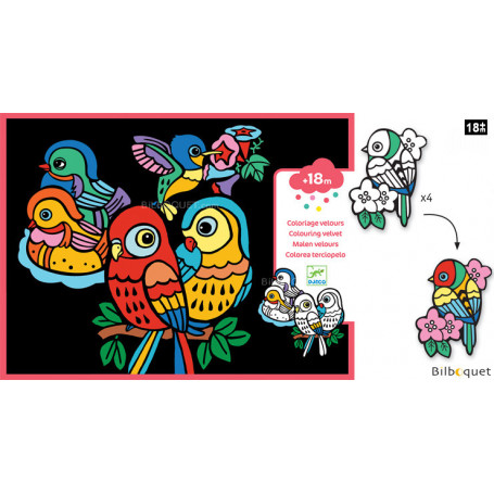 Coloriage Velours - Bébés oiseaux - Petits Cadeaux