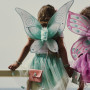 Angelina Fairy Set Skirt and Wings 3-5 years