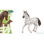 Jument Appaloosa