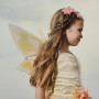 Do-Ryanne Fairy Set Skirt and Wings