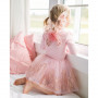 Rose Gold Tutu and Wings - Costume for Gir