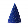 Glittery Wizard Cloak with Hat - Child Costume