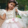 Golden Pink Fairy Dress - Girl's Costume