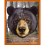 Bear Shaped Jigsaw Puzzle -550 pieces