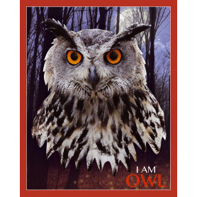 Owl Shaped Jigsaw Puzzle - 550 pièces