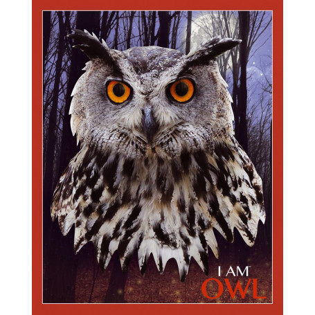 Owl Shaped Jigsaw Puzzle - 550 pièces