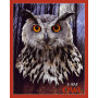 Owl Shaped Jigsaw Puzzle - 550 pièces