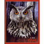 Puzzle Hibou - 550 pièces