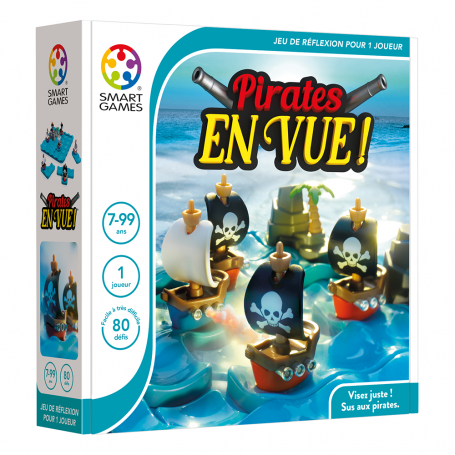 Jeu Pirates en vue - Jeu de logique évolutif