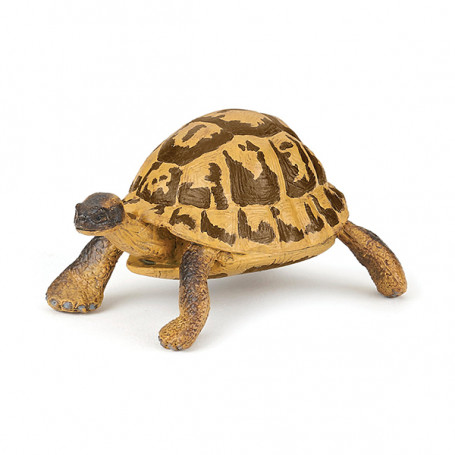 Tortue d'Hermann - Figurine Papo