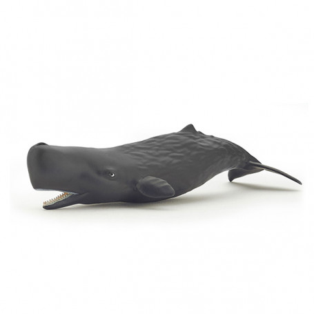 Sperm whale  - Papo Figurine