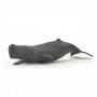 Sperm whale  - Papo Figurine