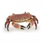 Crabe - Figurine Papo