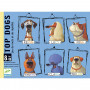 Jeu de cartes - Top Dogs