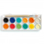 Palette of 12 gouache paintbrush tablets