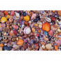 Puzzle Seashells 1000 pieces