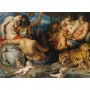 Puzzle 1000 pièces Peter Paul Rubens - Les quatre continents