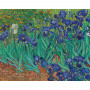 Puzzle 1000 pièces Van Gogh - Iris