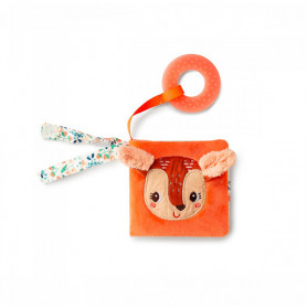 Stella picture book and his teething ring