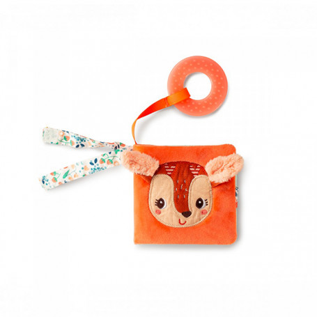 Stella picture book and his teething ring