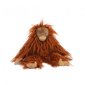 Little Orangutan - Tout autour du monde