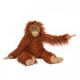 Great Orangutan - Tout autour du monde