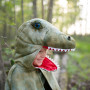 T-Rex cape with claws - 4/6 years - Child costume