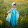 Robe de la reine des glaces - 5/6 ans - Déguisement fille