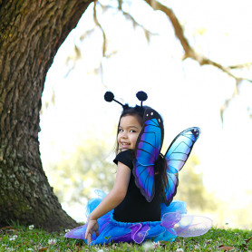 Midnight butterfly set - Skirt + wings - 4/7 years - Girl costume