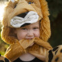 Lion Cape - Child Costume