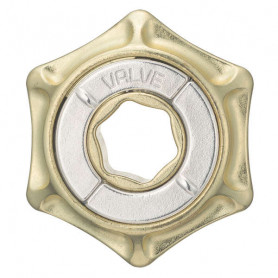 Cast Puzzle metal Valve - Level 4