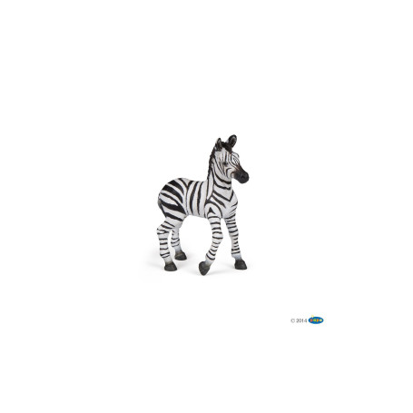 Baby zebra - Figurine Papo