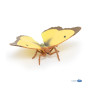 Marigold butterfly - Figurine Papo