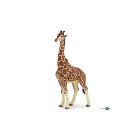 Girafe mâle - Figurine Papo