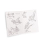Bird discovery box - The garden of the mill