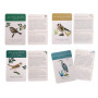 Bird discovery box - The garden of the mill