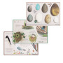 Bird discovery box - The garden of the mill