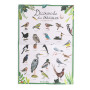 Bird discovery box - The garden of the mill