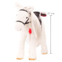 Horse to brush Lipizzaner