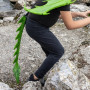Queue verte de dragon