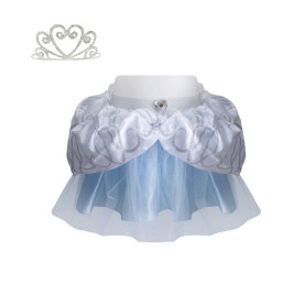 Cinderella tutu and tiara set - Size 5-6 years - Girl costume