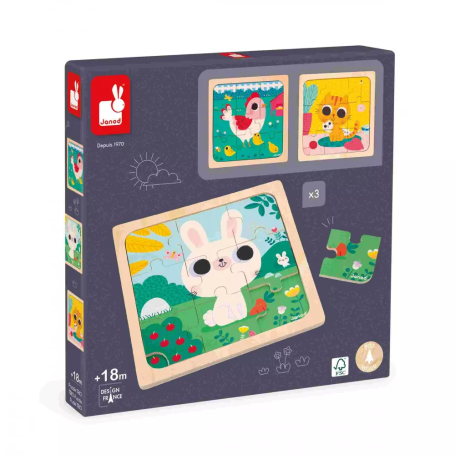 3 Puzzles en bois de 9 pièces