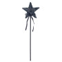 Cara's Magic Wands, Black Star